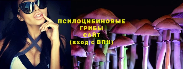 дурь Протвино