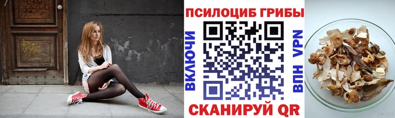 Псилоцибиновые грибы Magic Shrooms  Новодвинск 